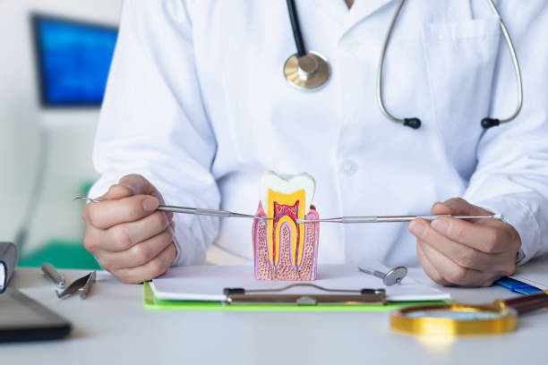 Best Emergency Treatment for Dental Infections or Abscesses in Manchester, MO